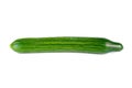 Fresh long cucumber