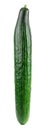 Fresh long cucumber over a white background..