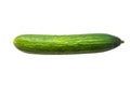 Fresh long green cucumber isolated on white background. Royalty Free Stock Photo