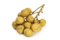 Fresh longan (dimocarpus longan) Royalty Free Stock Photo