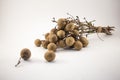 Fresh longan fruits on bench  on white background Royalty Free Stock Photo