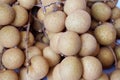 Fresh longan fruits Royalty Free Stock Photo