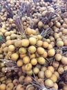 Fresh longan tropical fruit Royalty Free Stock Photo