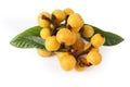 Fresh loquat fruit Royalty Free Stock Photo