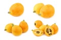 Fresh loquat fruit Eriobotrya japonica