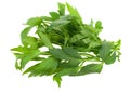 Fresh lovage herb