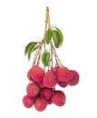 Fresh lychee bunch with leaves isolated on white background Royalty Free Stock Photo