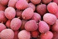 Fresh lychee fruits Royalty Free Stock Photo