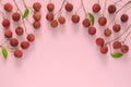 Fresh lychee fruits with stem and leaves background. Royalty Free Stock Photo