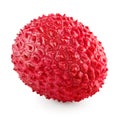 Fresh lychee isolated on white background. clipping path