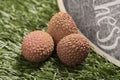 Fresh lychees on grass background