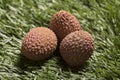 Fresh lychees on grass background