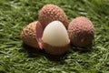 Fresh lychees on grass background