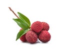 Fresh lychees