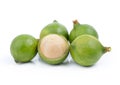 Fresh macadamia nut