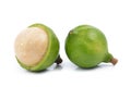 Fresh macadamia nut on white background Royalty Free Stock Photo