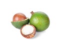 Fresh macadamia nut