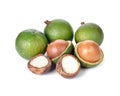 Fresh macadamia nuts