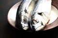 Fresh mackerel for cooking on a black background