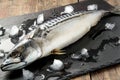 Fresh mackerel cooled with ice Royalty Free Stock Photo