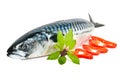 Fresh mackerel decorated with pepper and basil Royalty Free Stock Photo