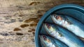 Fresh mackerel in a dish Royalty Free Stock Photo