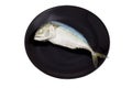 Fresh mackerel fish on black dish Royalty Free Stock Photo