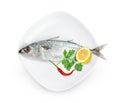 Fresh mackerel fish with dish isolated on white background ,include clipping path Royalty Free Stock Photo