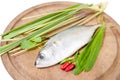 Fresh mackerel fish with herbs and spices on white Royalty Free Stock Photo