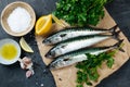 Fresh mackerel fish with ingredients to cook Royalty Free Stock Photo