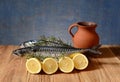 Fresh mackerel fish on the plate and sliced lemons