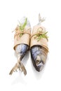 Fresh mackerel fish. Royalty Free Stock Photo