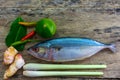 Fresh mackerel and spices Royalty Free Stock Photo