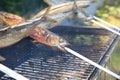 Fresh Mackerel on Stick at Barbecue Party. Germany