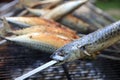Fresh Mackerel on Stick at Barbecue Party. Germany Royalty Free Stock Photo