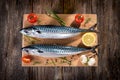 Fresh mackerel Royalty Free Stock Photo
