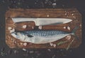 Fresh mackerel on wooden board at black background