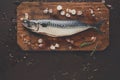 Fresh mackerel on wooden board at black background