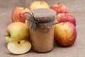 Fresh made applesauce with apples Royalty Free Stock Photo