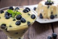 Fresh made Blueberry Pudding Royalty Free Stock Photo
