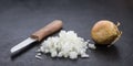 Fresh made Diced white onions Royalty Free Stock Photo