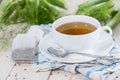 Fresh made Fennel Tea Royalty Free Stock Photo