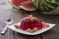 Fresh made Watermelon Jello Royalty Free Stock Photo