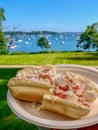 Maine lobster roll at the beach Royalty Free Stock Photo