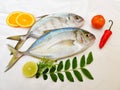 Fresh Malabar Trevally fish decorated with herbs and fruits ,Isolated on white Background.Selective focus.Space for text Royalty Free Stock Photo