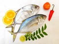 Fresh Malabar Trevally fish decorated with herbs and fruits ,Isolated on white Background.Selective focus.Space for text Royalty Free Stock Photo