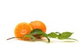 Fresh mandarin fruits Royalty Free Stock Photo