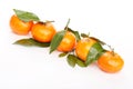Fresh mandarin fruits Royalty Free Stock Photo