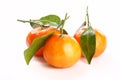 Fresh mandarin fruits Royalty Free Stock Photo