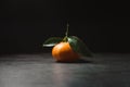 Fresh mandarin with leaves on dark background